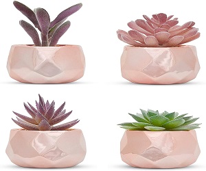 Nordik Set of 4 Desk Plants in Rose Gold – Office Decor for Women, Indoor, Living Room, Bedroom, Home and Desk Decor